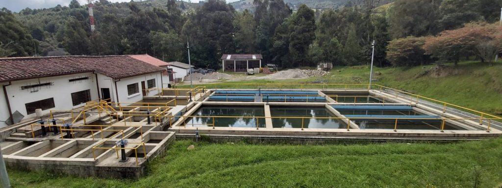 Imagen lateral de la planta