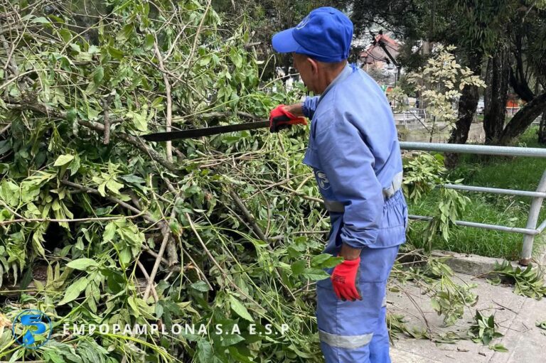 WhatsApp Image 2026-03-25 at 10.47.40 AM