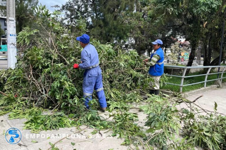 WhatsApp Image 2026-03-25 at 10.47.401AM